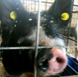 Meet your Posher, Carly